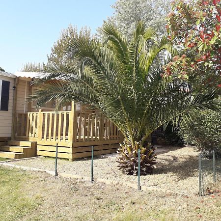 Mobil Home Neuf 2 Chambres 6 Personnes Saint Aygulf Plage Fréjus Εξωτερικό φωτογραφία